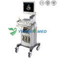 Ysb-Q3 Medical 3D Trolley Máquina de ultrasonido Doppler a color